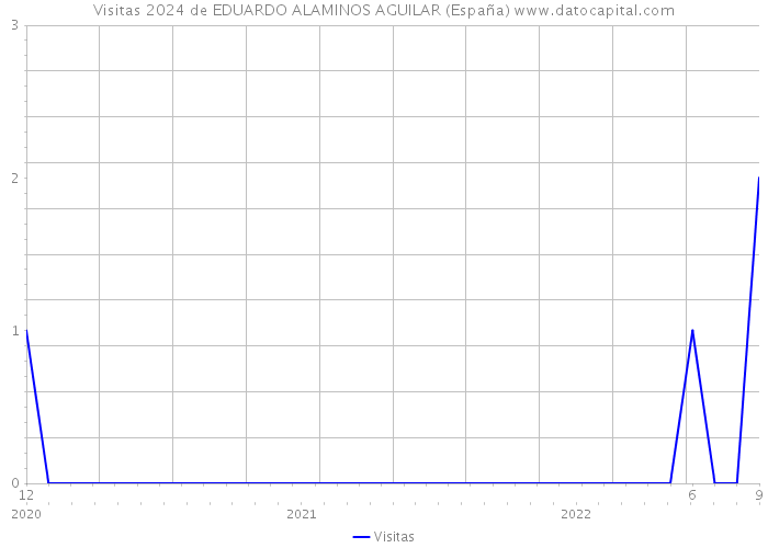 Visitas 2024 de EDUARDO ALAMINOS AGUILAR (España) 