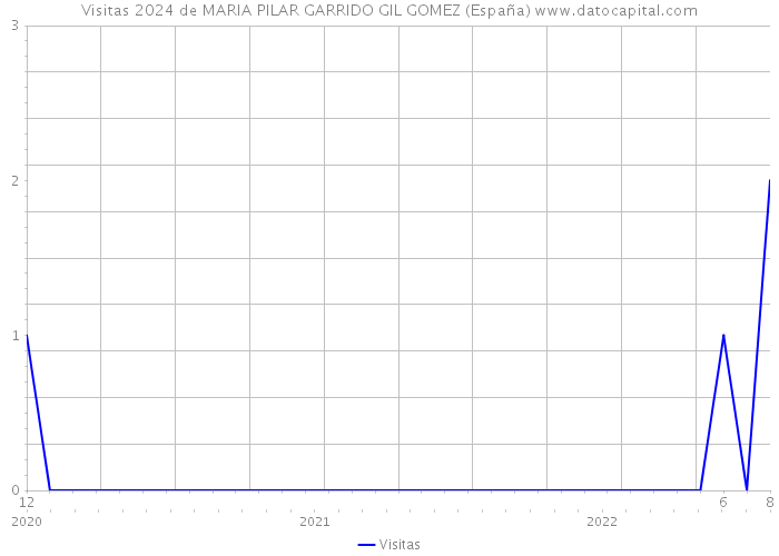 Visitas 2024 de MARIA PILAR GARRIDO GIL GOMEZ (España) 