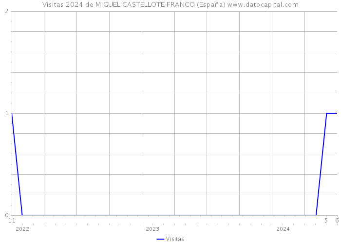 Visitas 2024 de MIGUEL CASTELLOTE FRANCO (España) 