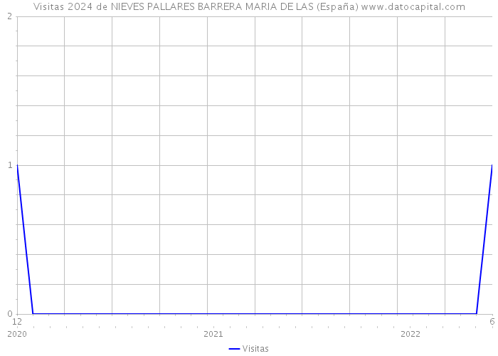 Visitas 2024 de NIEVES PALLARES BARRERA MARIA DE LAS (España) 