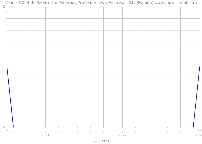Visitas 2024 de Servicios a Personas,Profesionales y Empresas S.L. (España) 