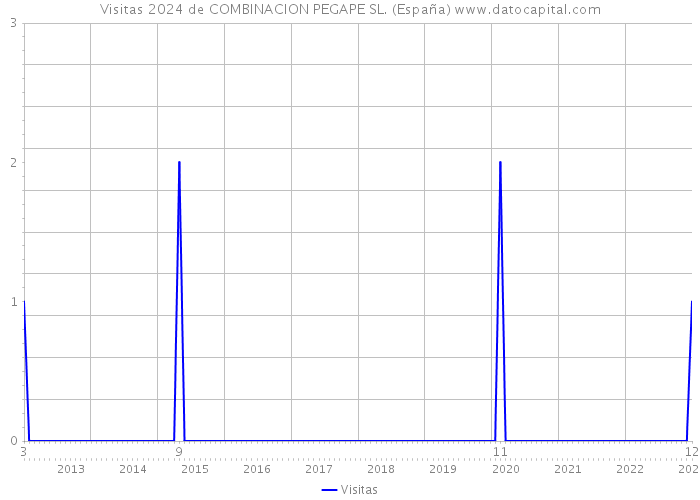 Visitas 2024 de COMBINACION PEGAPE SL. (España) 