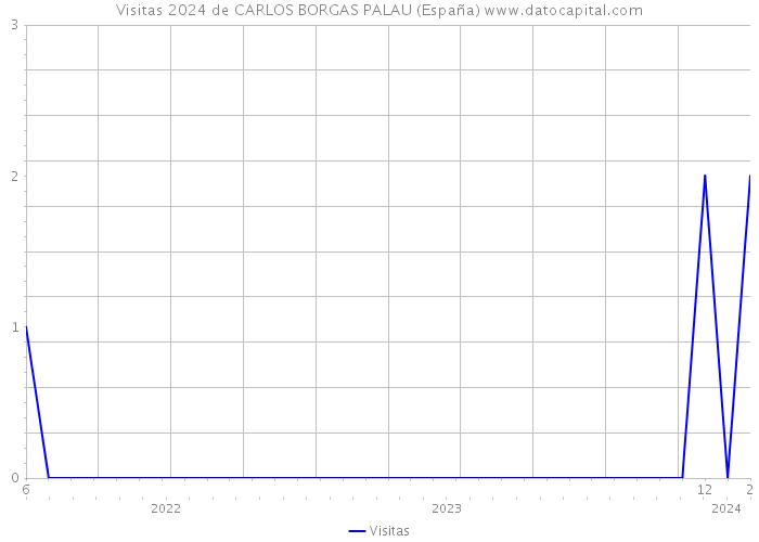 Visitas 2024 de CARLOS BORGAS PALAU (España) 