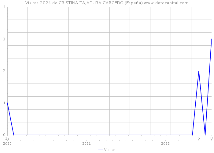 Visitas 2024 de CRISTINA TAJADURA CARCEDO (España) 
