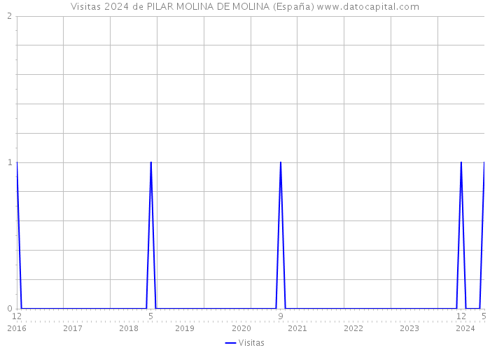 Visitas 2024 de PILAR MOLINA DE MOLINA (España) 