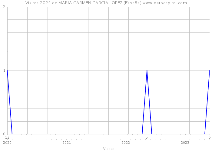 Visitas 2024 de MARIA CARMEN GARCIA LOPEZ (España) 