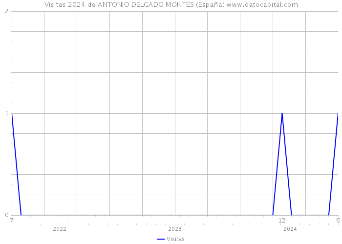 Visitas 2024 de ANTONIO DELGADO MONTES (España) 
