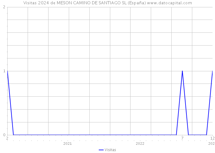 Visitas 2024 de MESON CAMINO DE SANTIAGO SL (España) 