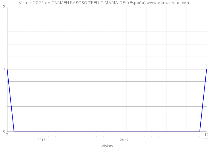 Visitas 2024 de CARMEN RABOSO TRELLO MARIA DEL (España) 