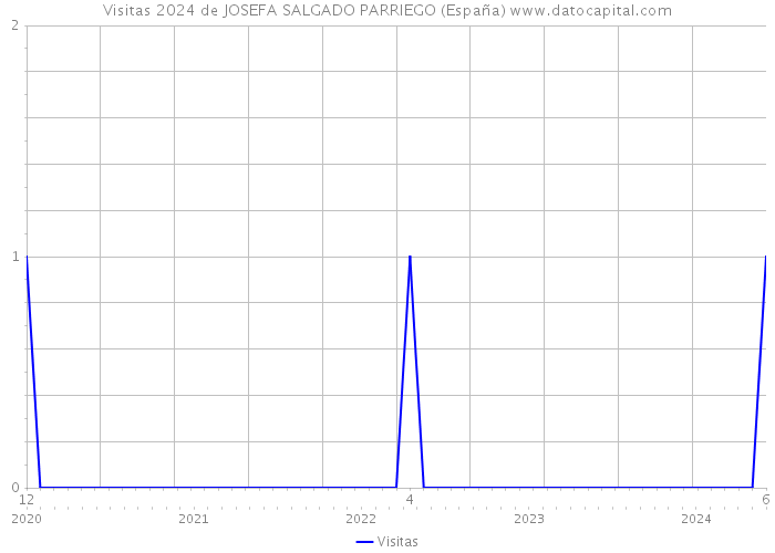 Visitas 2024 de JOSEFA SALGADO PARRIEGO (España) 