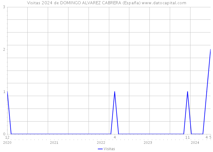 Visitas 2024 de DOMINGO ALVAREZ CABRERA (España) 