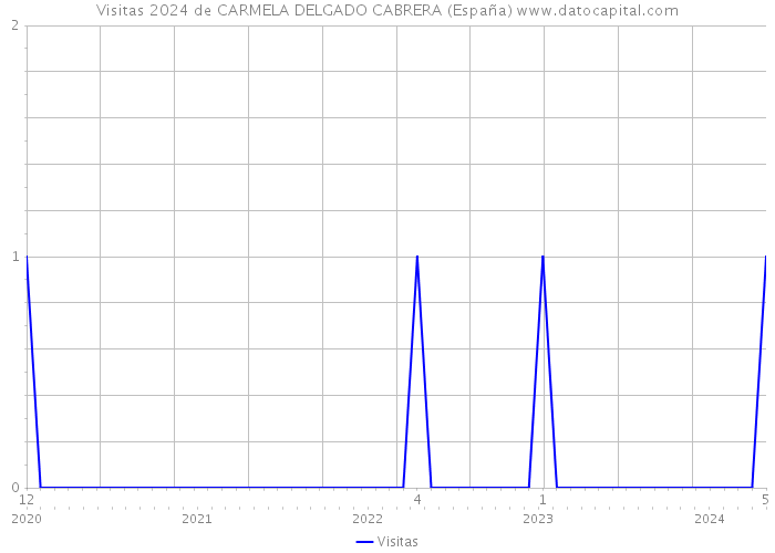 Visitas 2024 de CARMELA DELGADO CABRERA (España) 