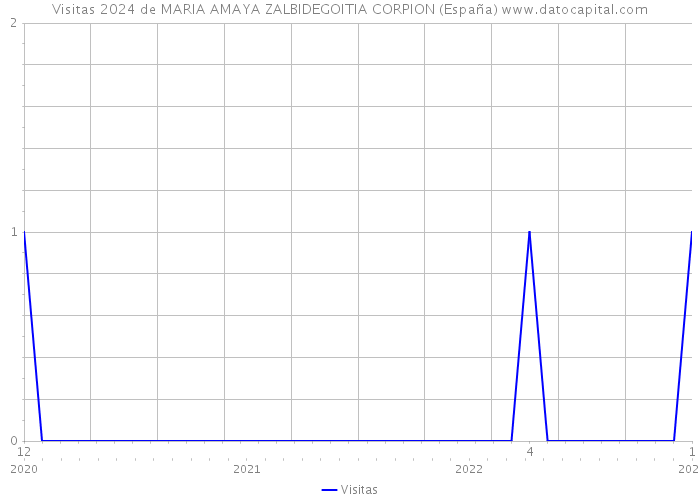 Visitas 2024 de MARIA AMAYA ZALBIDEGOITIA CORPION (España) 