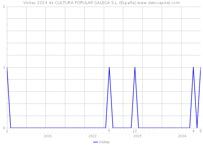Visitas 2024 de CULTURA POPULAR GALEGA S.L. (España) 