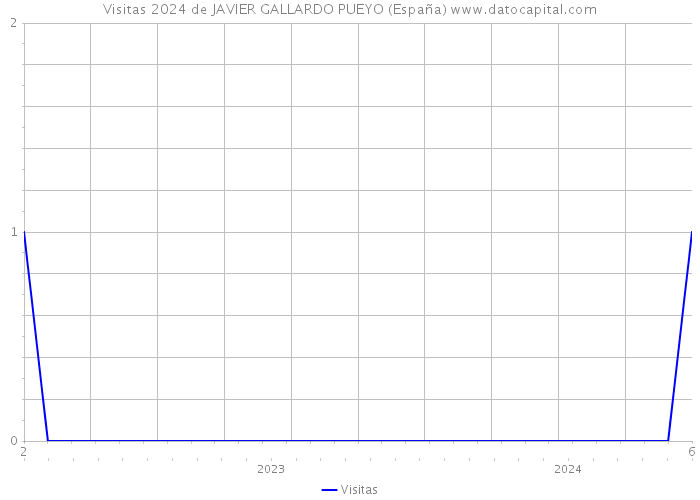 Visitas 2024 de JAVIER GALLARDO PUEYO (España) 