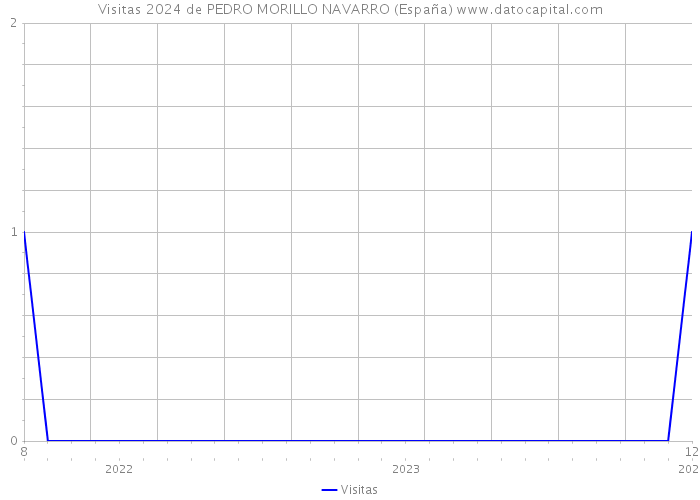 Visitas 2024 de PEDRO MORILLO NAVARRO (España) 