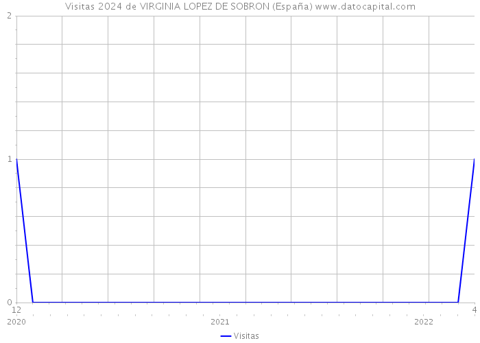 Visitas 2024 de VIRGINIA LOPEZ DE SOBRON (España) 
