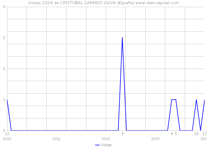 Visitas 2024 de CRISTOBAL GARRIDO OLIVA (España) 