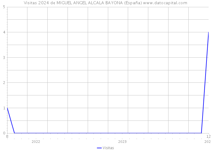 Visitas 2024 de MIGUEL ANGEL ALCALA BAYONA (España) 
