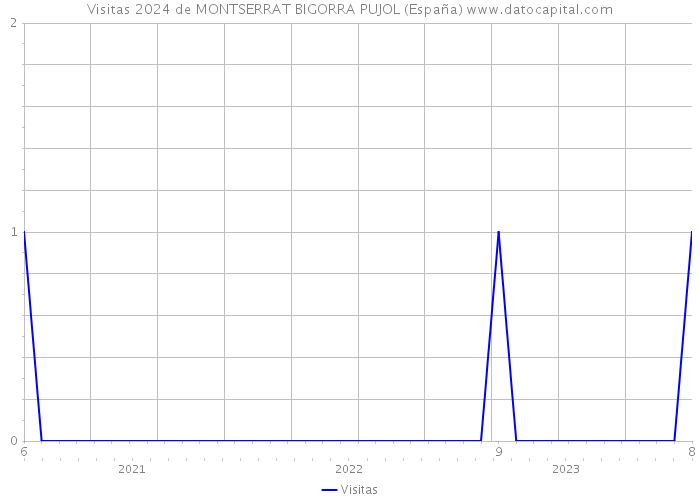 Visitas 2024 de MONTSERRAT BIGORRA PUJOL (España) 