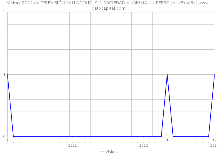 Visitas 2024 de TELEVISIÓN VALLADOLID, S. L SOCIEDAD ANONIMA UNIPERSONAL (España) 