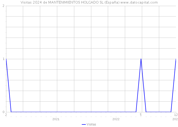 Visitas 2024 de MANTENIMIENTOS HOLGADO SL (España) 