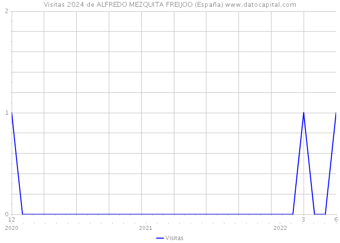 Visitas 2024 de ALFREDO MEZQUITA FREIJOO (España) 