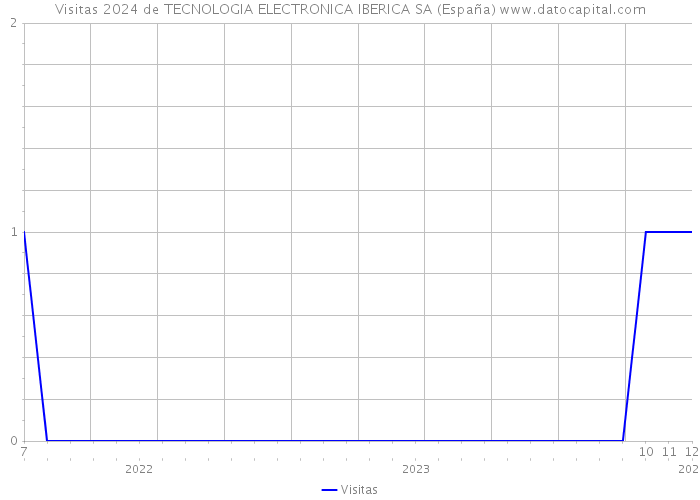 Visitas 2024 de TECNOLOGIA ELECTRONICA IBERICA SA (España) 