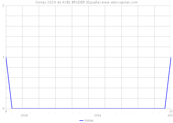 Visitas 2024 de AXEL BRUDER (España) 