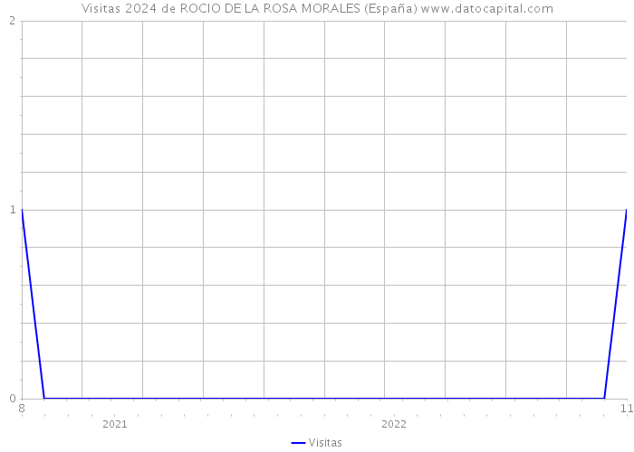 Visitas 2024 de ROCIO DE LA ROSA MORALES (España) 