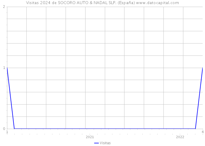 Visitas 2024 de SOCORO AUTO & NADAL SLP. (España) 