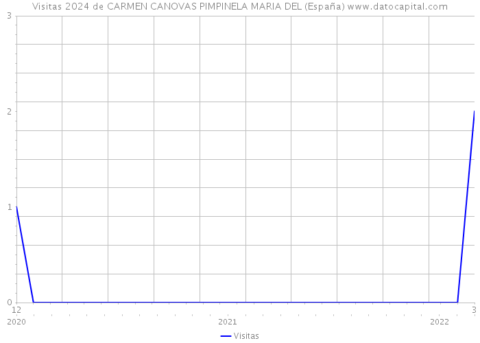 Visitas 2024 de CARMEN CANOVAS PIMPINELA MARIA DEL (España) 