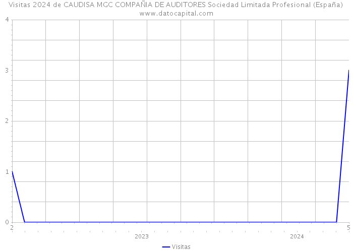 Visitas 2024 de CAUDISA MGC COMPAÑIA DE AUDITORES Sociedad Limitada Profesional (España) 
