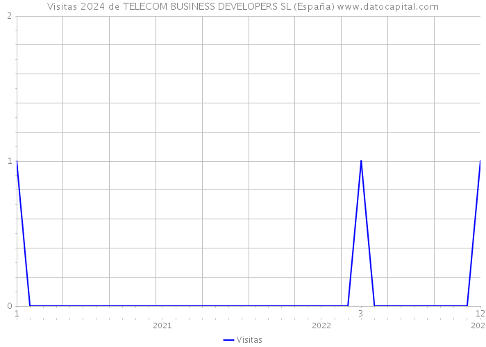 Visitas 2024 de TELECOM BUSINESS DEVELOPERS SL (España) 