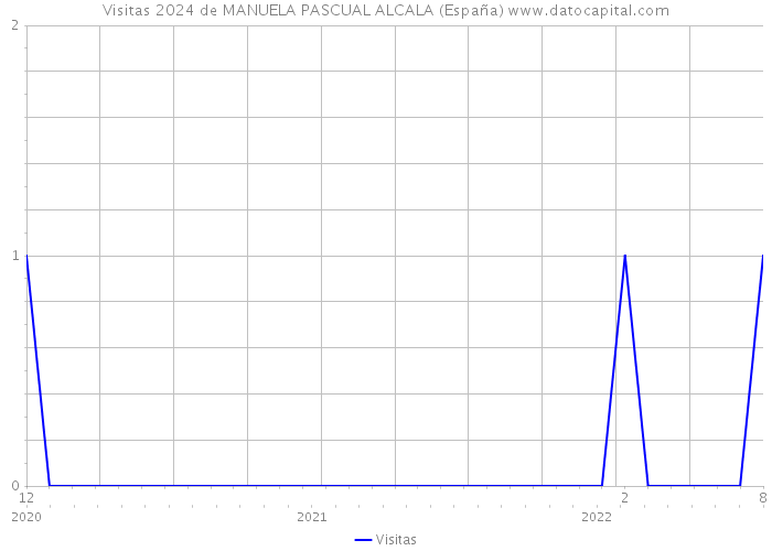 Visitas 2024 de MANUELA PASCUAL ALCALA (España) 