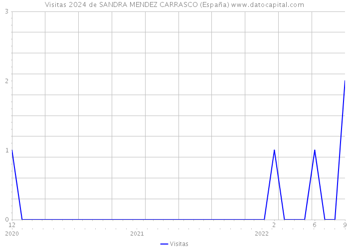 Visitas 2024 de SANDRA MENDEZ CARRASCO (España) 