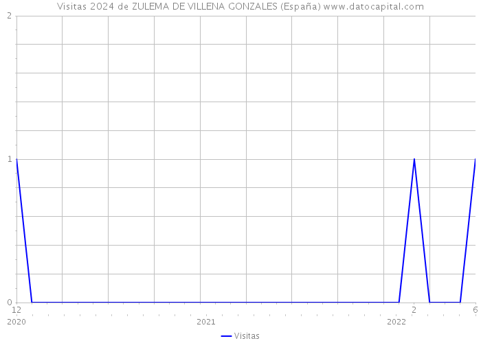 Visitas 2024 de ZULEMA DE VILLENA GONZALES (España) 