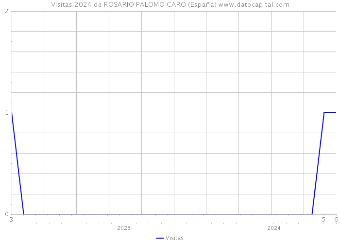 Visitas 2024 de ROSARIO PALOMO CARO (España) 