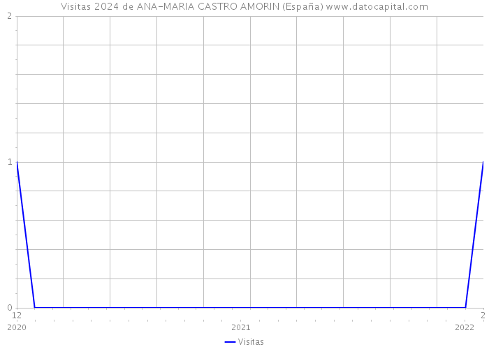 Visitas 2024 de ANA-MARIA CASTRO AMORIN (España) 