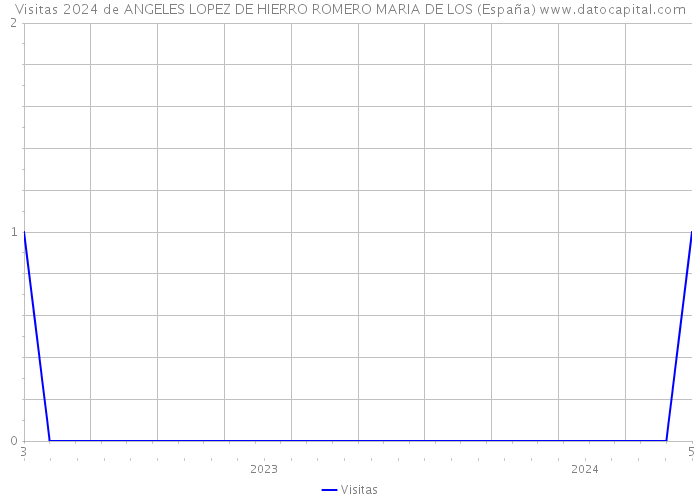 Visitas 2024 de ANGELES LOPEZ DE HIERRO ROMERO MARIA DE LOS (España) 