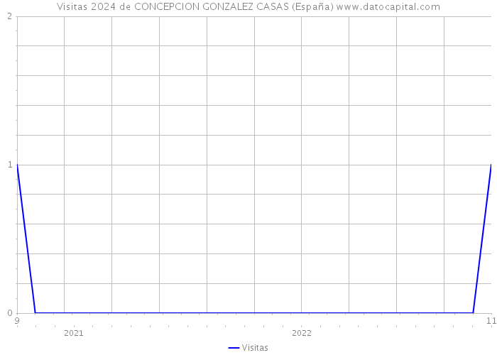 Visitas 2024 de CONCEPCION GONZALEZ CASAS (España) 