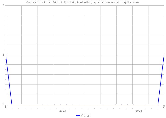 Visitas 2024 de DAVID BOCCARA ALAIN (España) 