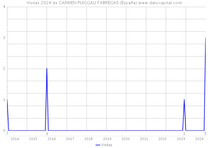 Visitas 2024 de CARMEN PUIGGALI FABREGAS (España) 