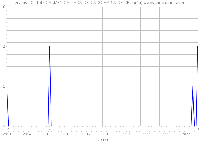 Visitas 2024 de CARMEN CALZADA DELGADO MARIA DEL (España) 