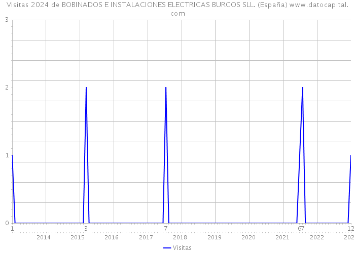 Visitas 2024 de BOBINADOS E INSTALACIONES ELECTRICAS BURGOS SLL. (España) 