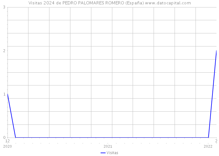 Visitas 2024 de PEDRO PALOMARES ROMERO (España) 