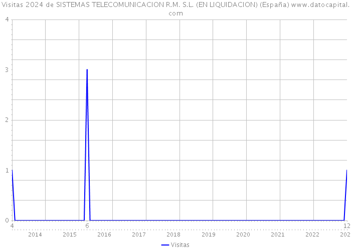 Visitas 2024 de SISTEMAS TELECOMUNICACION R.M. S.L. (EN LIQUIDACION) (España) 