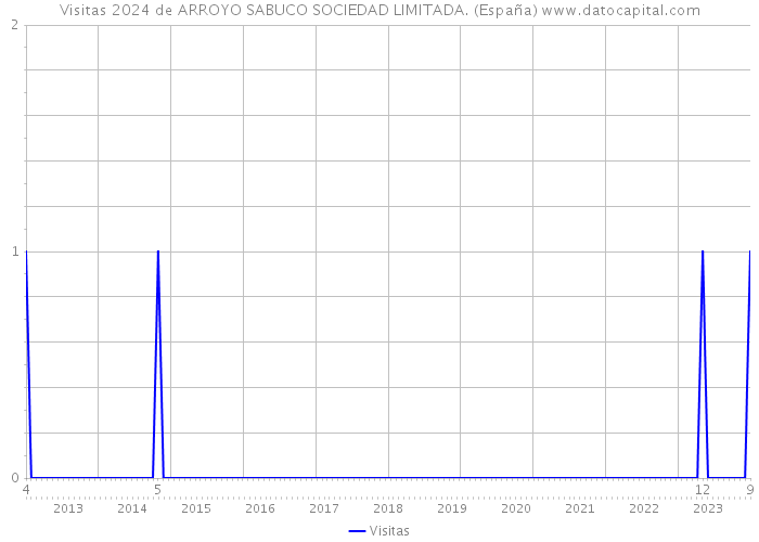 Visitas 2024 de ARROYO SABUCO SOCIEDAD LIMITADA. (España) 