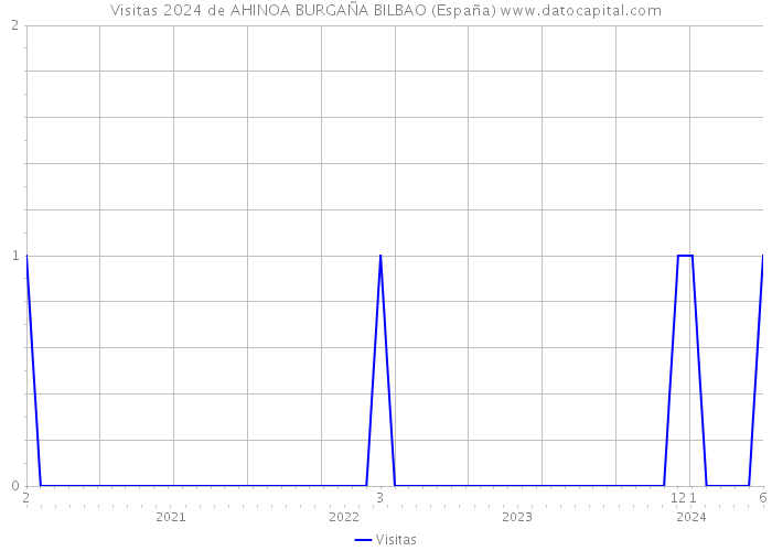Visitas 2024 de AHINOA BURGAÑA BILBAO (España) 