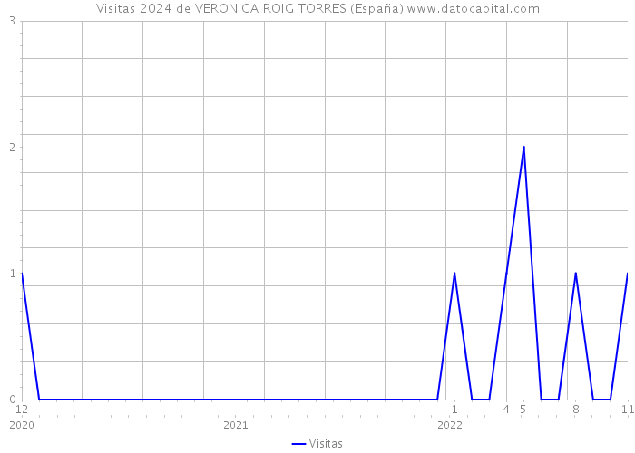 Visitas 2024 de VERONICA ROIG TORRES (España) 